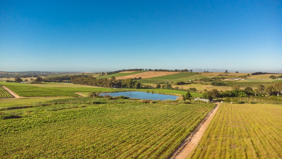 4 Bedroom Property for Sale in Lyndoch Western Cape